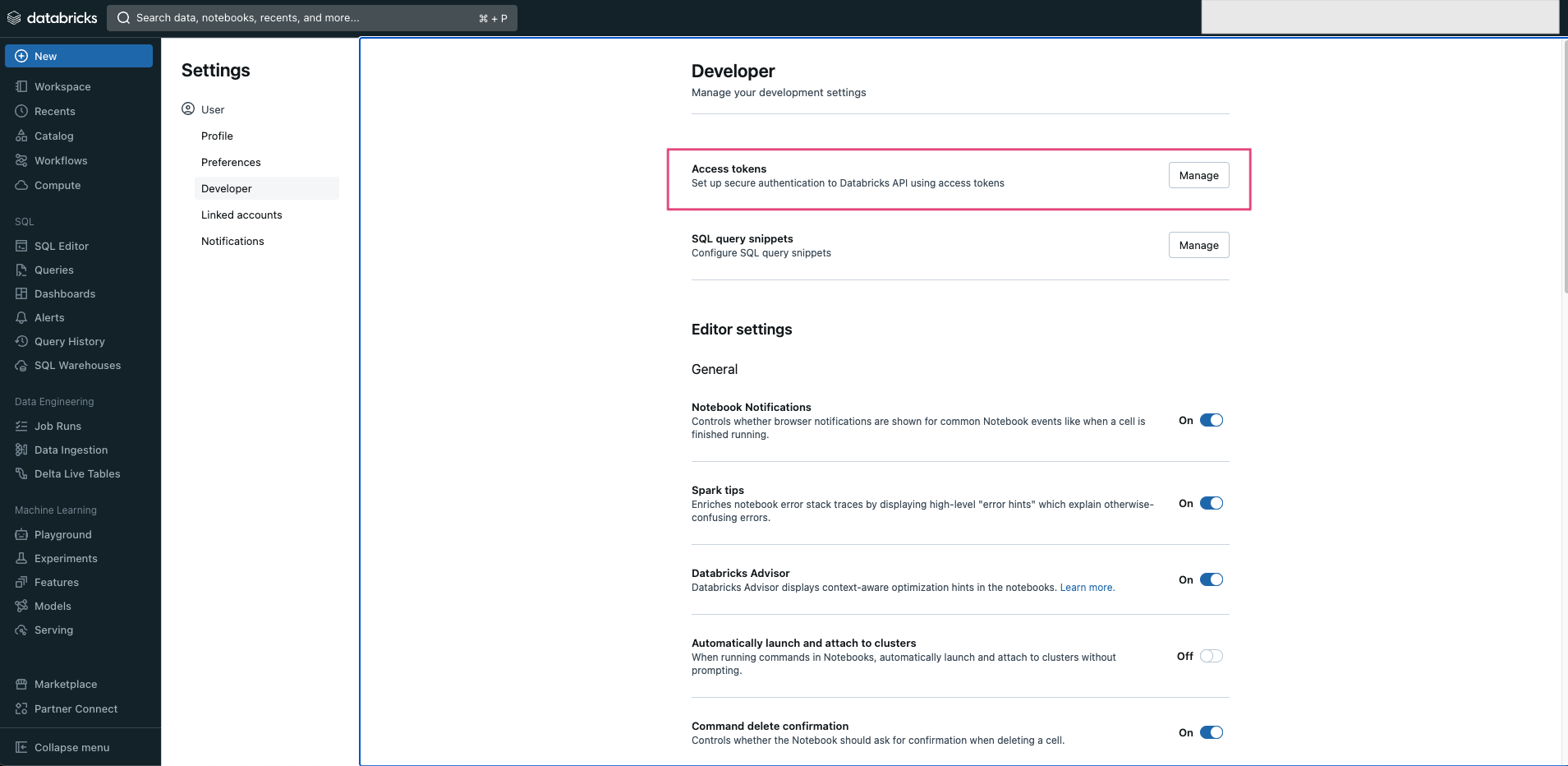 Databricks Developer Settings