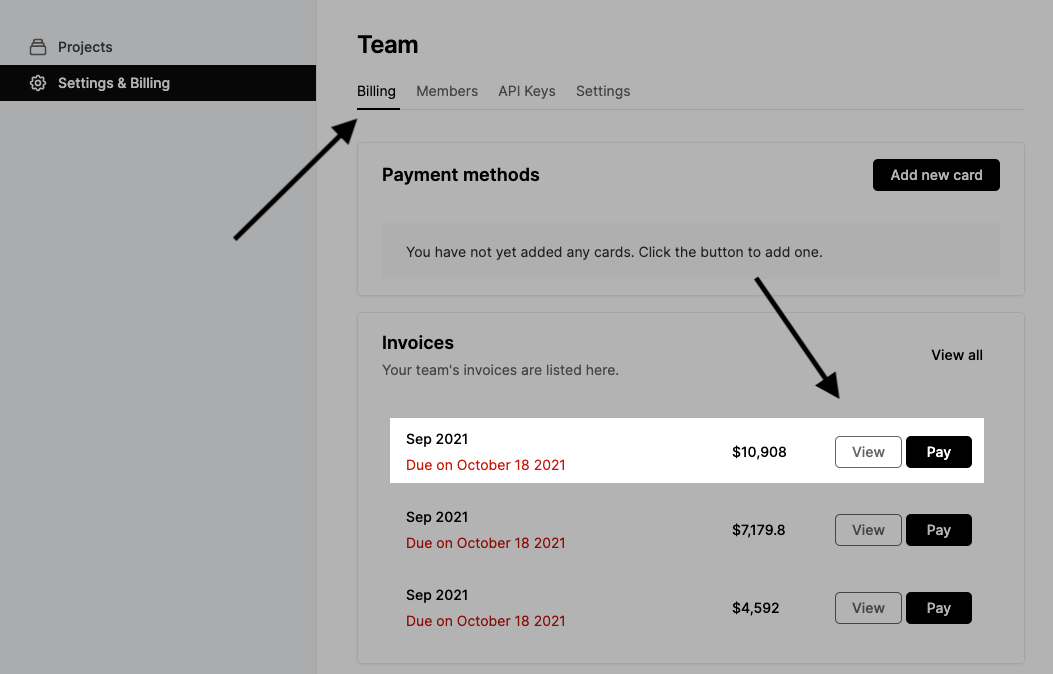 Accessing a detailed invoice on the dashboard