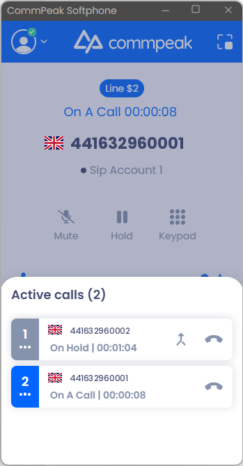 Screenshot of the multi lines: full mode