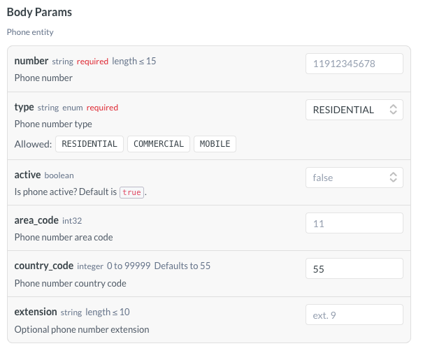 screenshot showing a typical body parameter section