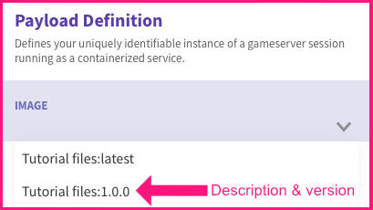 payload-definition-with-image-name.jpg
