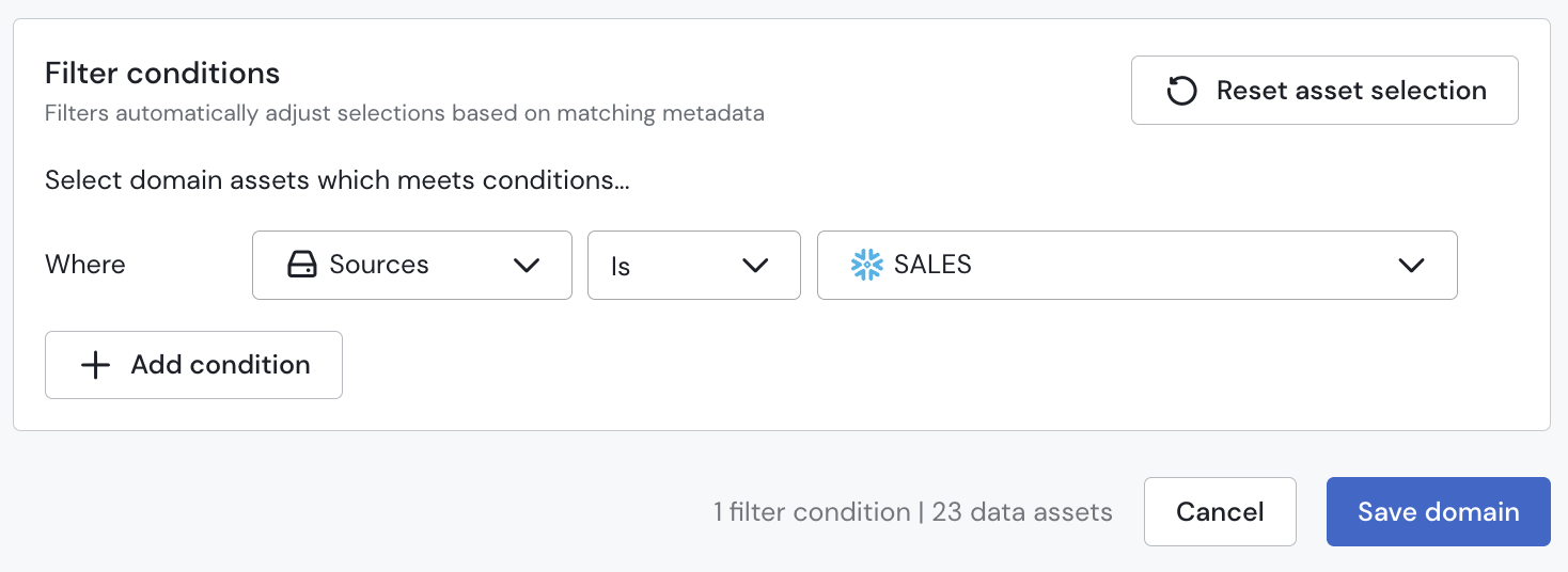 Domain Asset Selection Filter Conditions SALES Schema