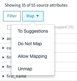 Mapping options for input attributes.