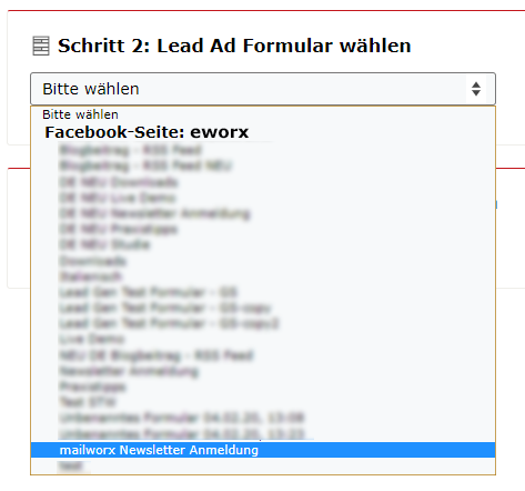 Lead Ad Formular auswaehlen Lead Ad Formular auswählen