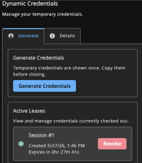 Active Leases panel showing a lease with a Revoke button.