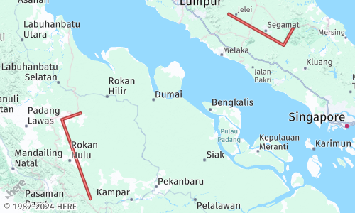 MultiLine geometry in the HERE Map Image API