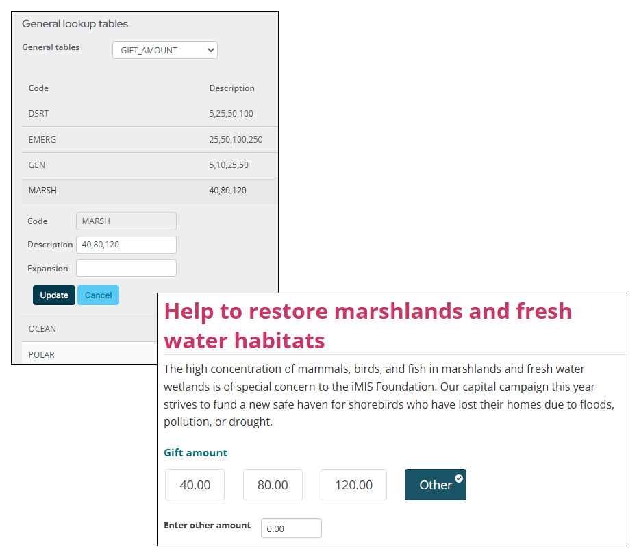 Editing the gift amount general look up table with values and then showing what the values look like on give now page