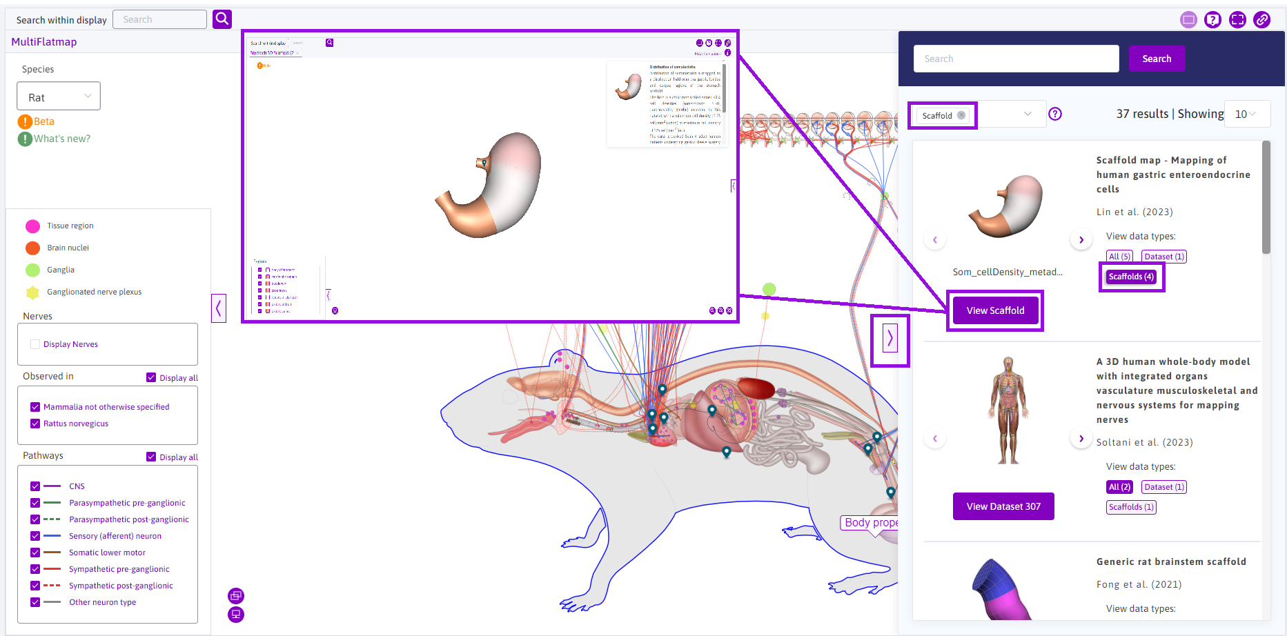 Figure 13: Accessing scaffolds via the sidebar by filtering datasets that involve scaffolds.