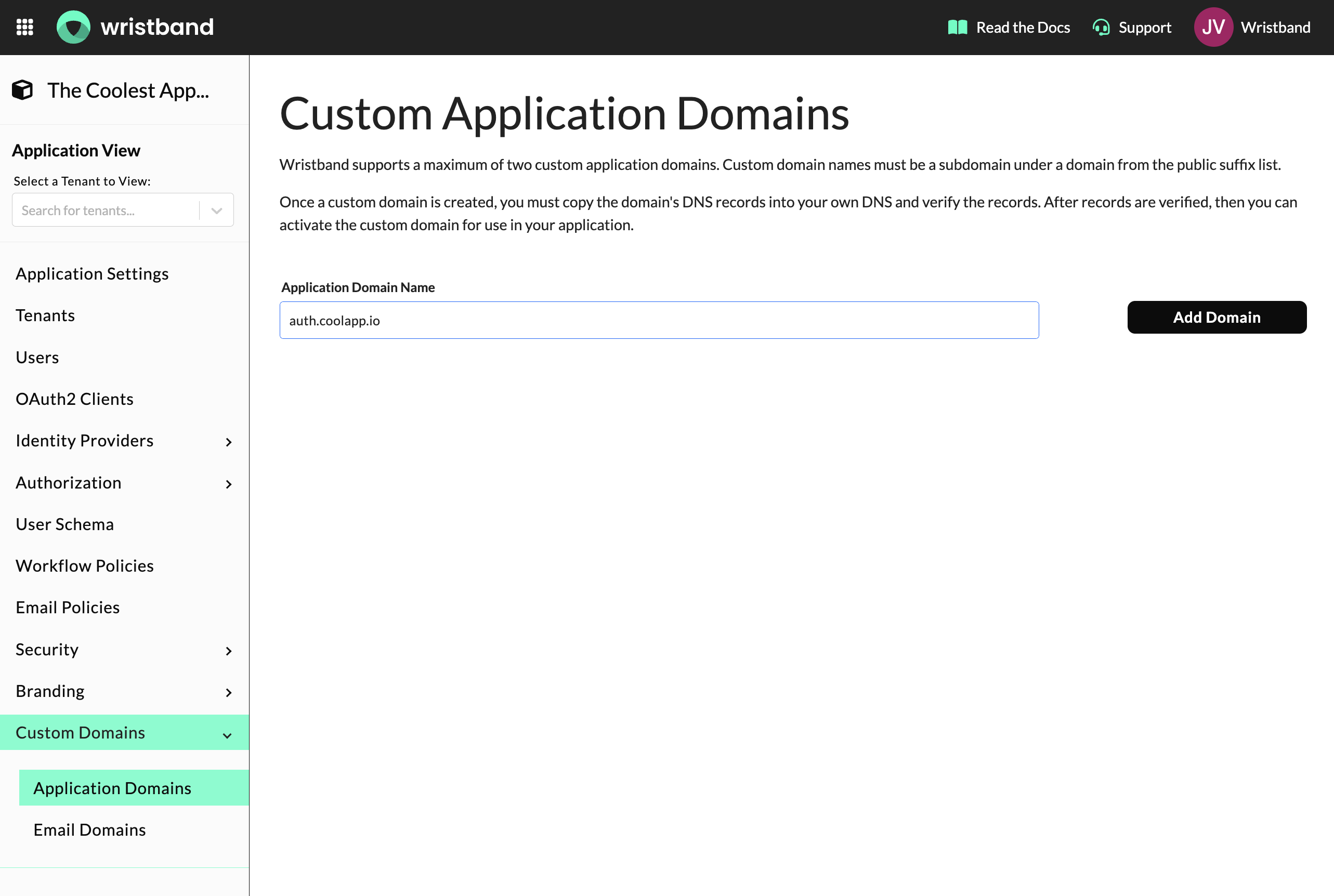 Add Custom Application Domain