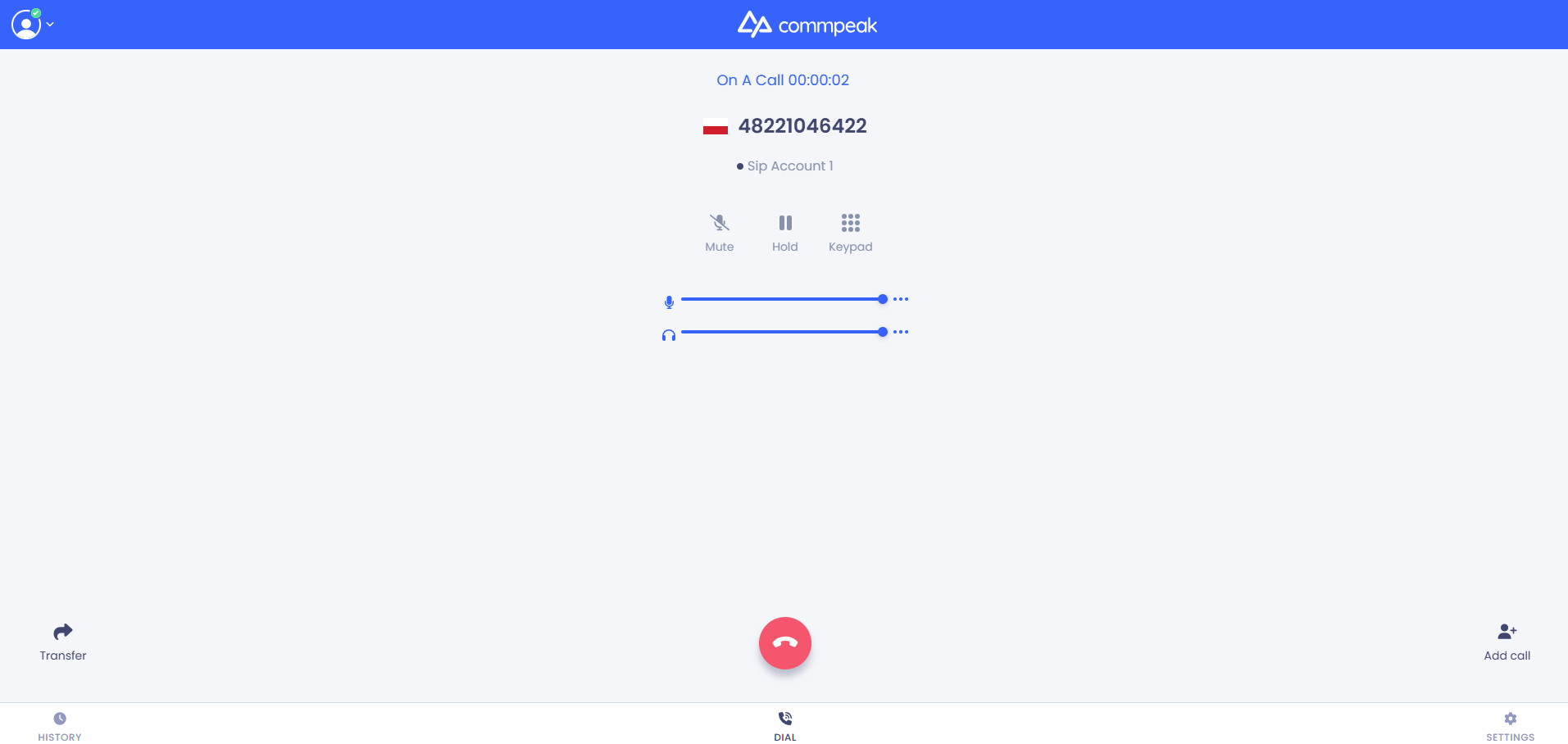 Screenshot of the active call