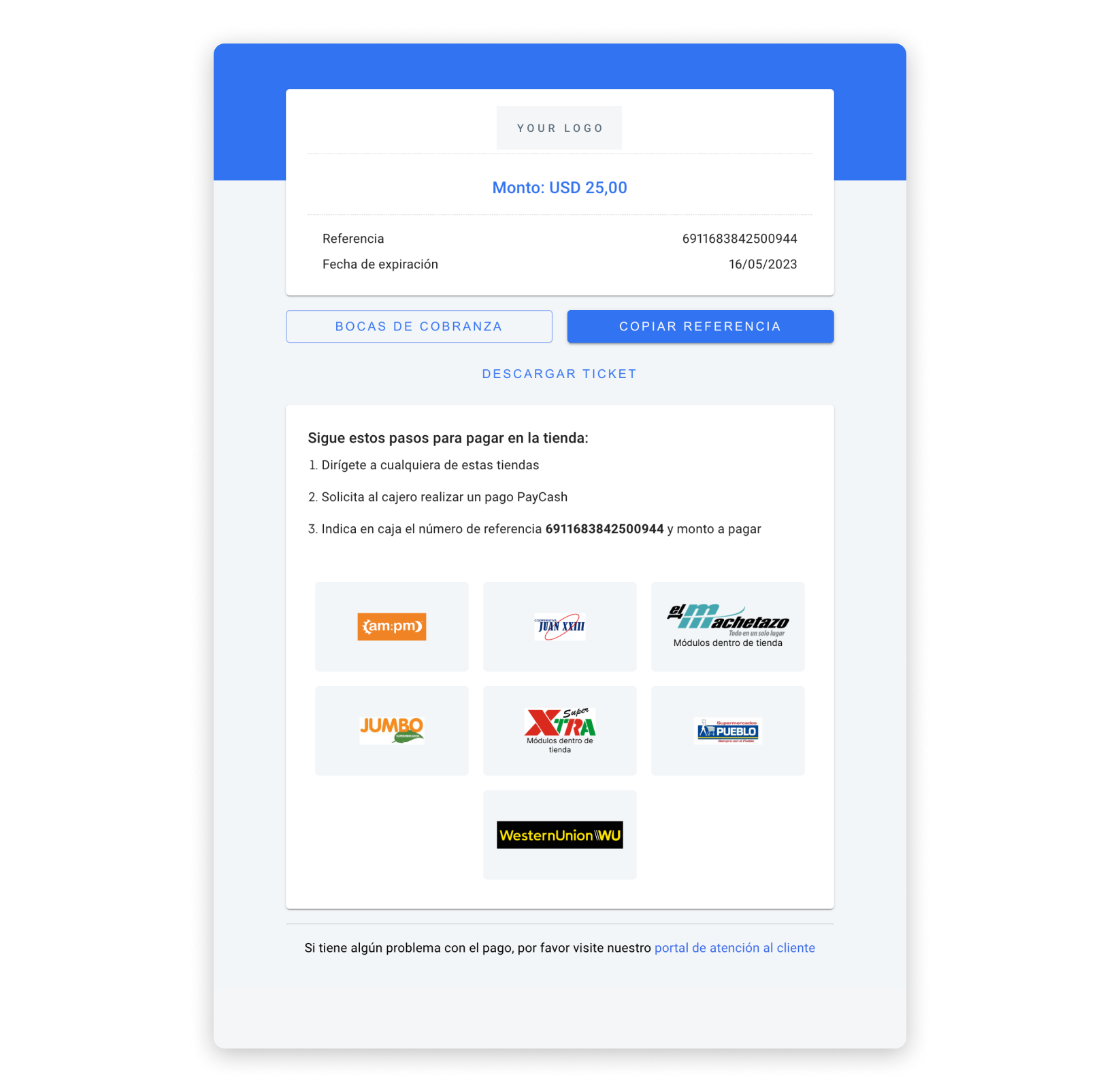 PayCash UI built with the information in the example above.