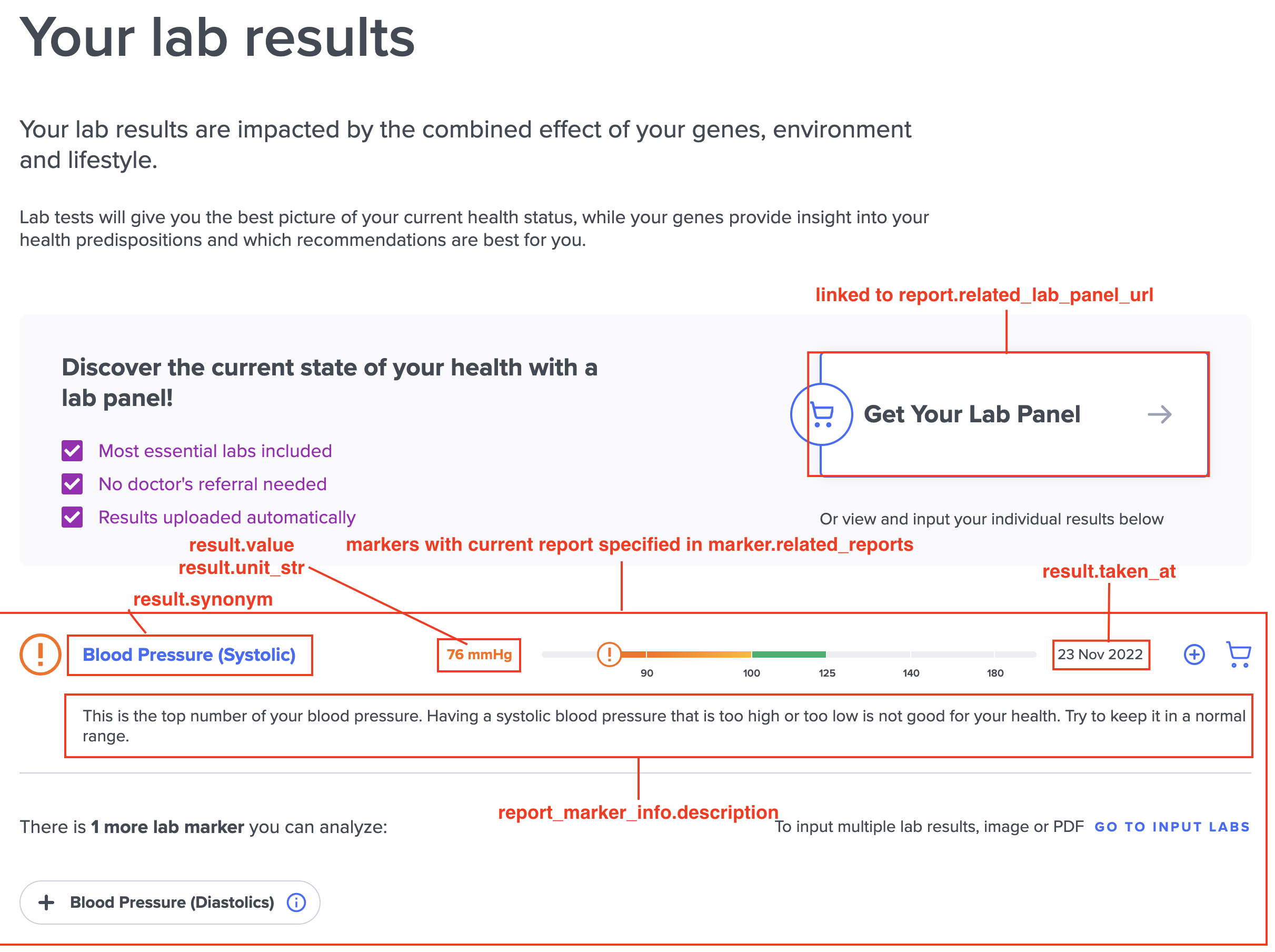regular-next-steps-labs.png