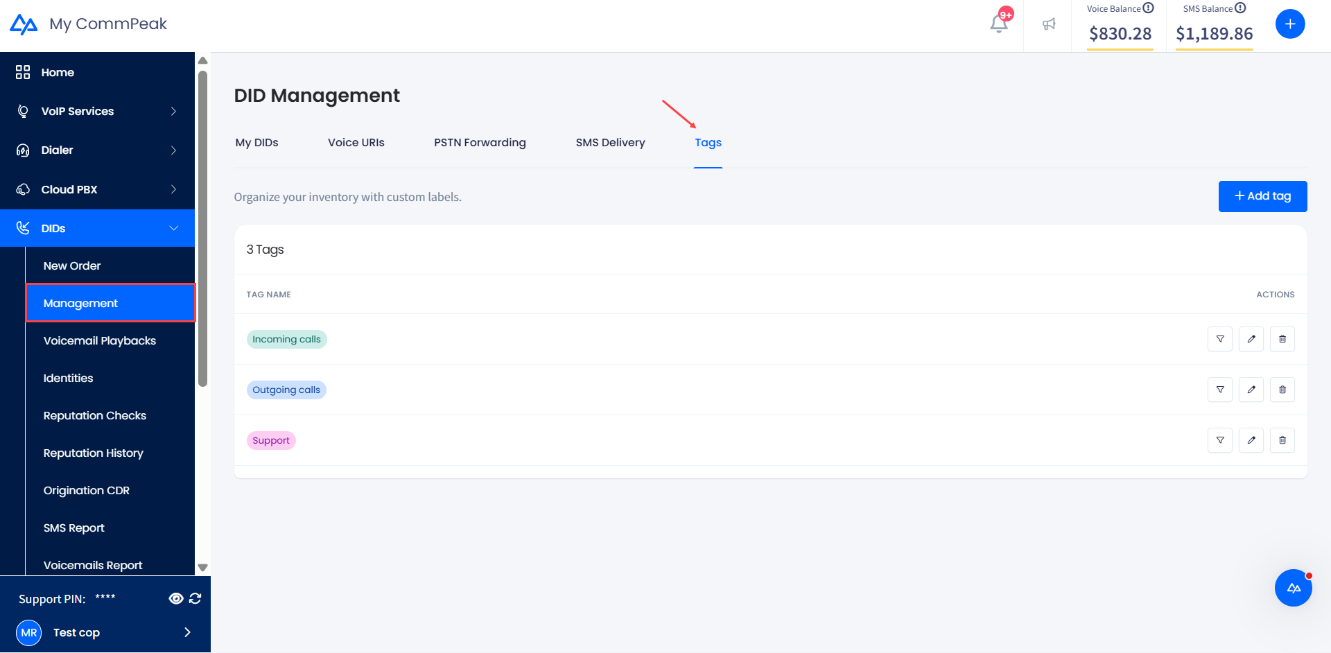 Screenshot of the DIDs > Tags tab