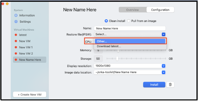 Other (to select from an existing IPSW file)