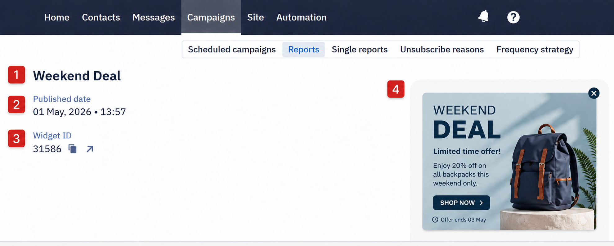 General information section of the widget campaign report