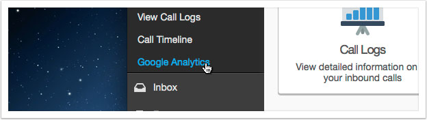 Click the 'Google Analytics' link in the left hand menu