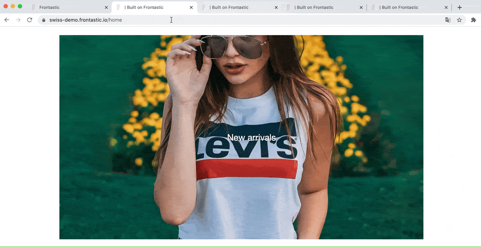Checking locales.gif