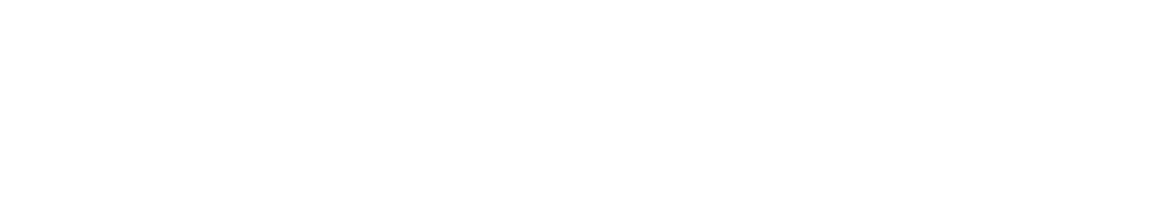 Company API