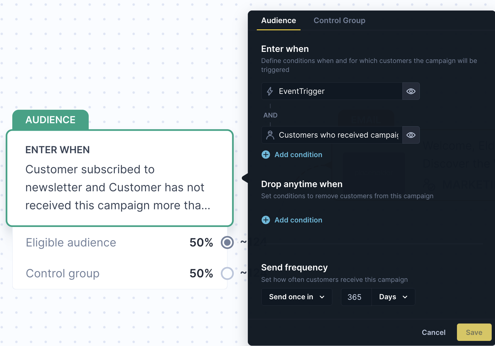 Audience node panel showing Enter when conditions, Drop anytime when, and Send frequency settings.