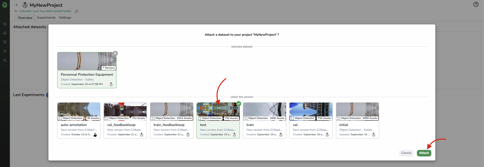 Select related `DatasetVersion` to be attached to the Project