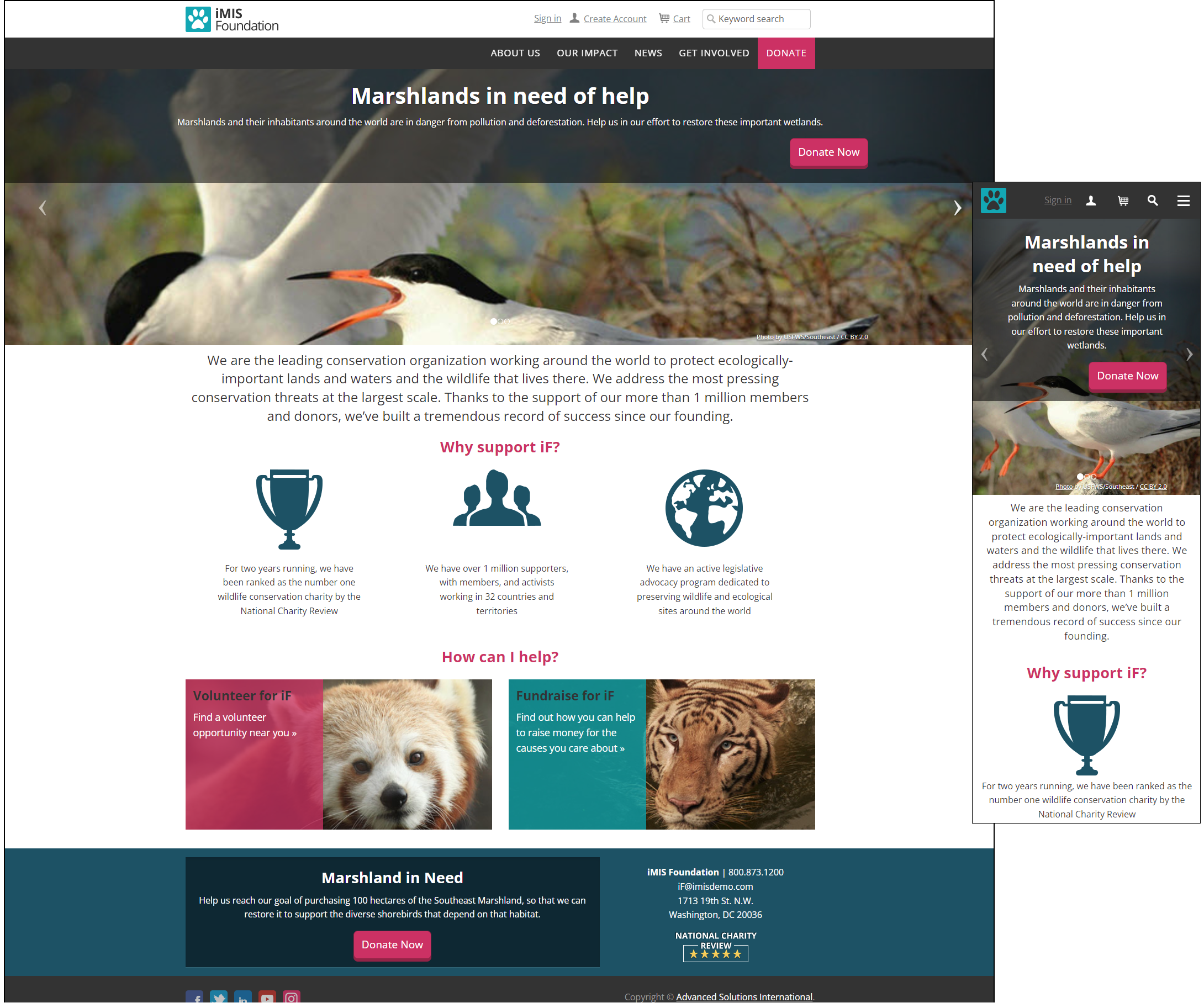 Viewing the Toronto Responsite theme and color scheme