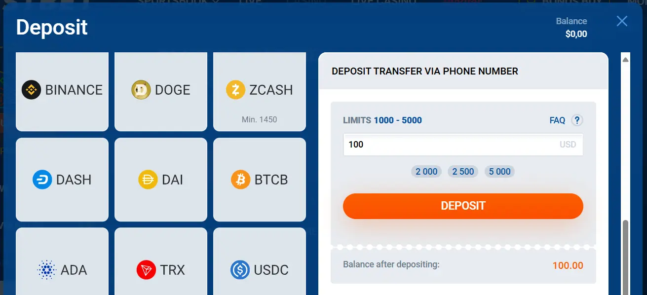 Deposit interface in Chicken Road Game with input field for phone number transfer and crypto wallet icons. Available payment options for Pakistan include Easypaisa, JazzCash, local PKR bank transfer, and crypto wallets.
