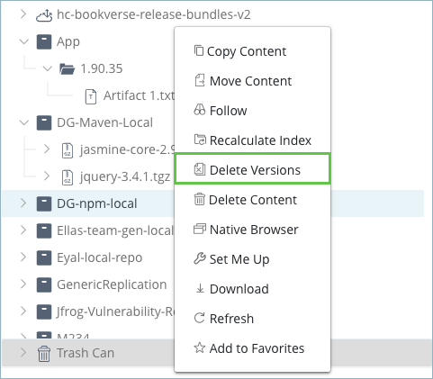 delete_versions.png