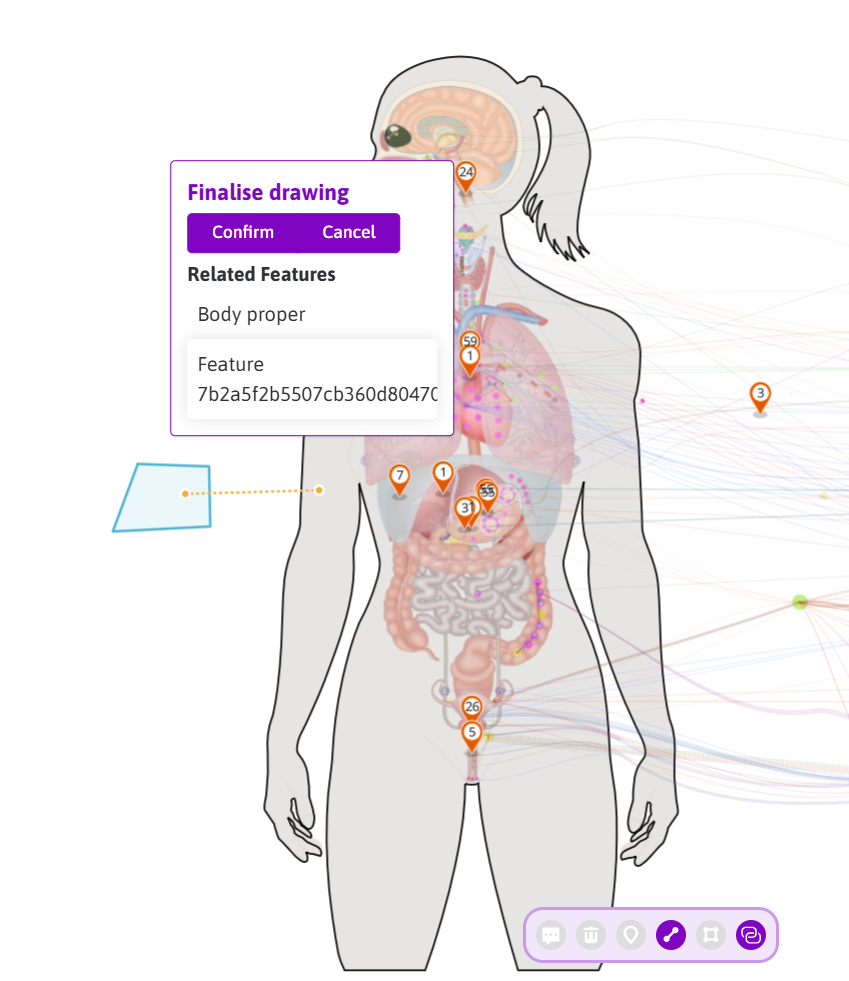 A LineString connected the Body proper and the new feature on Human Female flatmap.