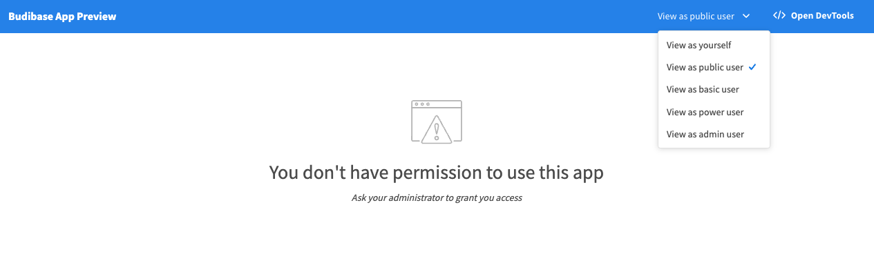 A public user does not have permission to view the app by default