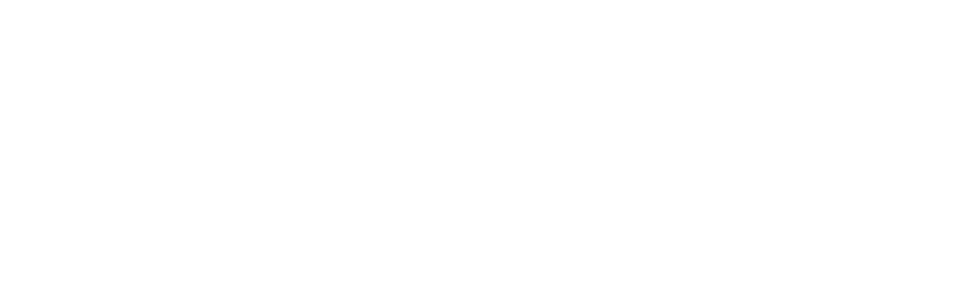 Bringg