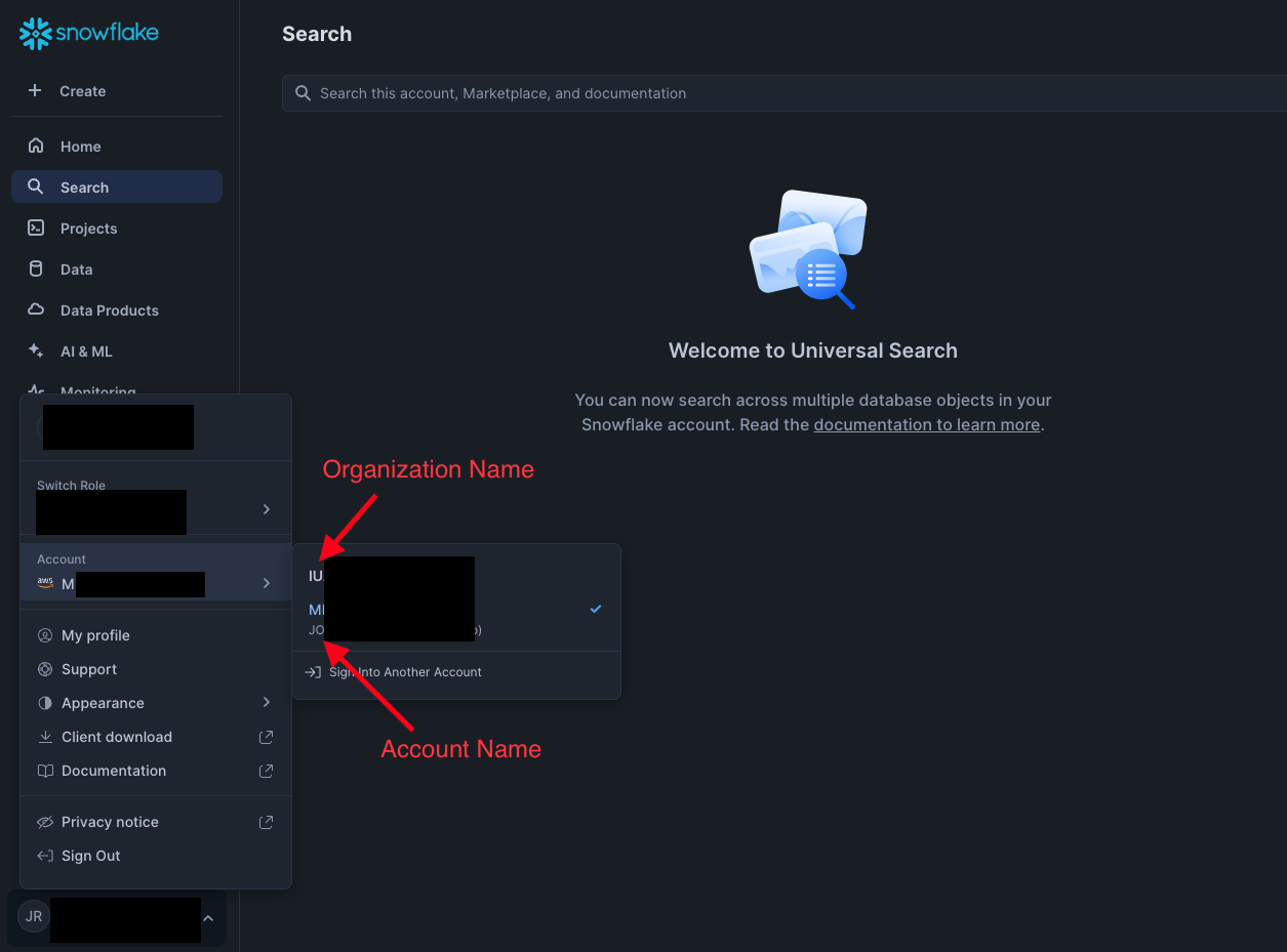 Fig. 3 - Retrieving Organization Name and Account Name from the UI