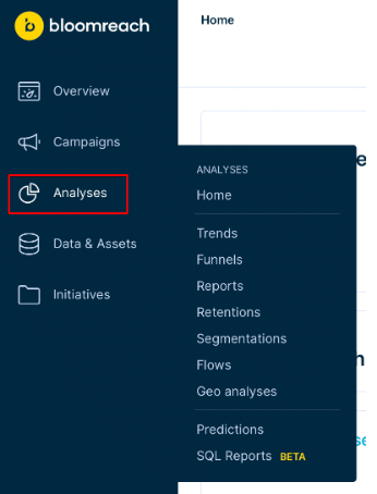 Analyses section highlighted in the Bloomreach main navigation menu