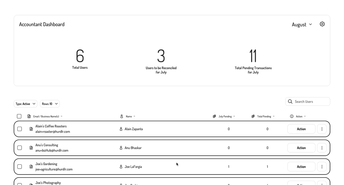 Accountant Login as User Demo