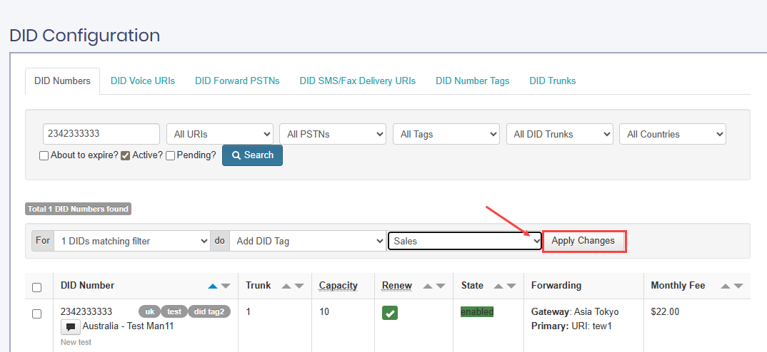 Screenshot of applying changes to the selected DID number