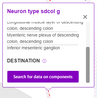 Figure 10: Scrolling down the tooltip that appears when selecting neuron pathways, a ‘Search for data on components’ button appears.
