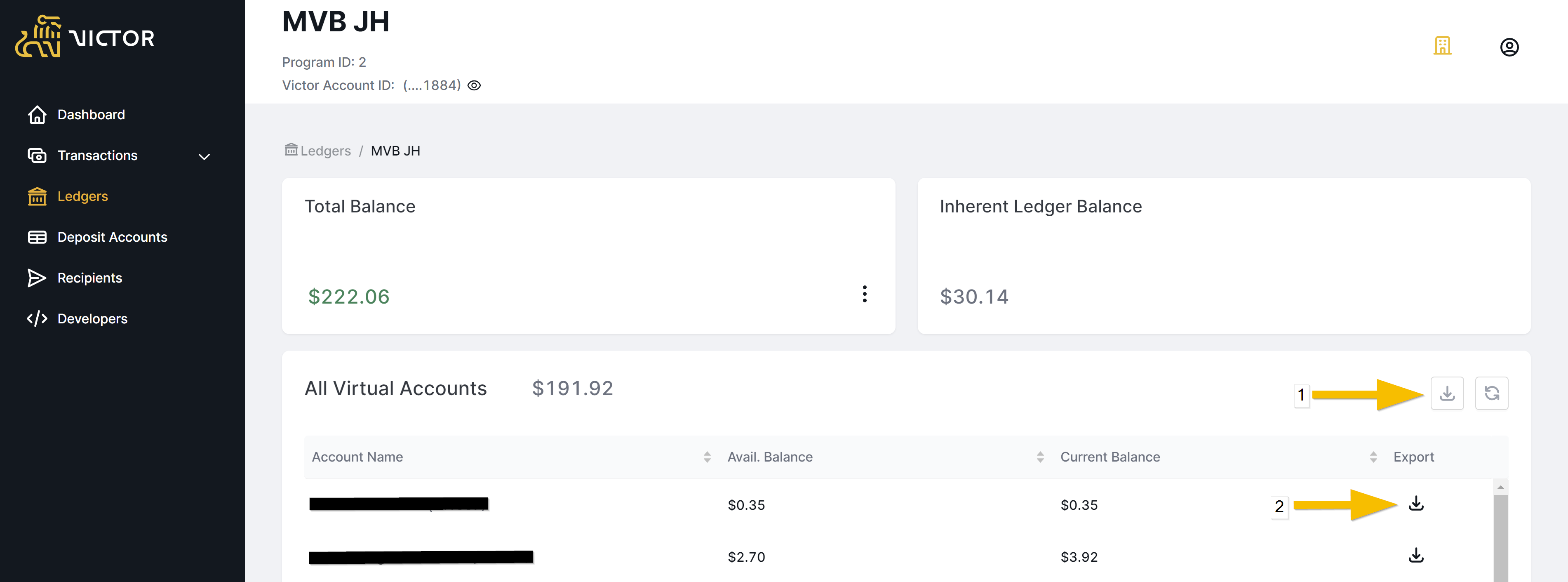 Figure 6. Ledger Program Overview 