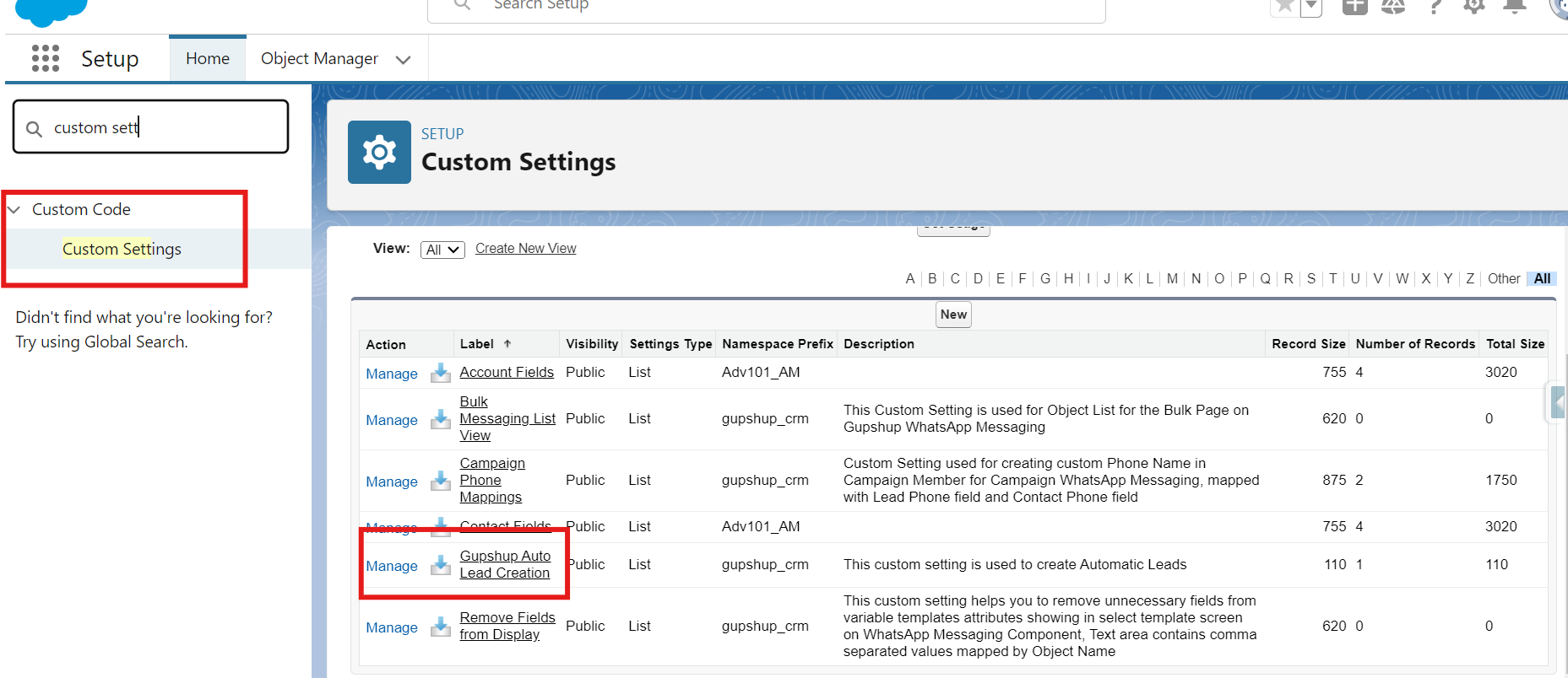 Custom settings - Gupshup Auto Lead Creation