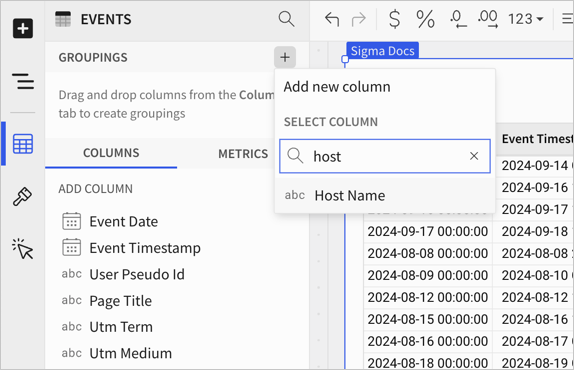 Add grouping selected and showing a search in the column selector for the host name column.