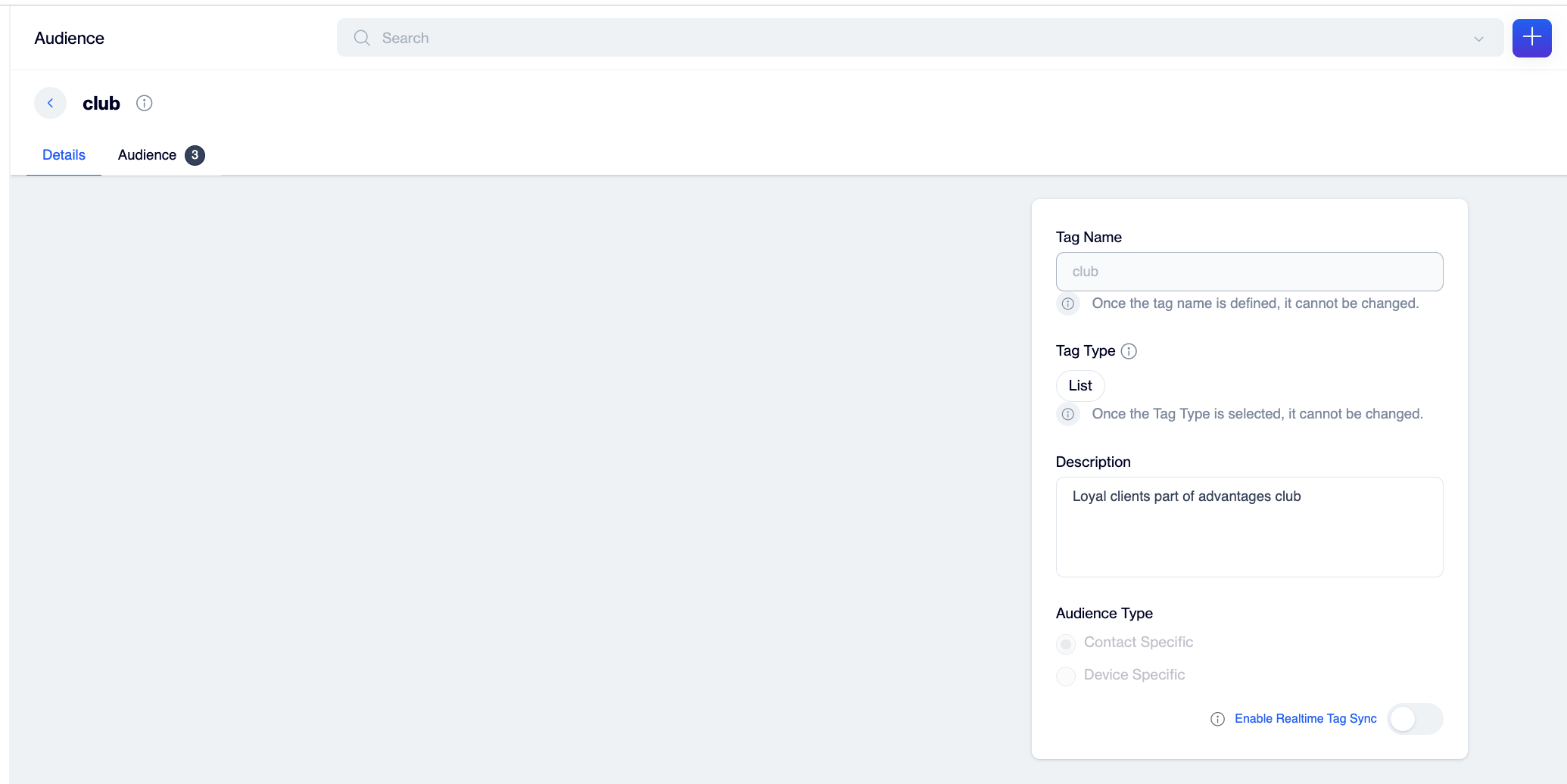 The Details tab of a List tag with read-only Tag Name, Tag Type, and Audience Type fields, an editable Description field, the Enable Realtime Tag Sync toggle, and the Delete and Update buttons at the top right.