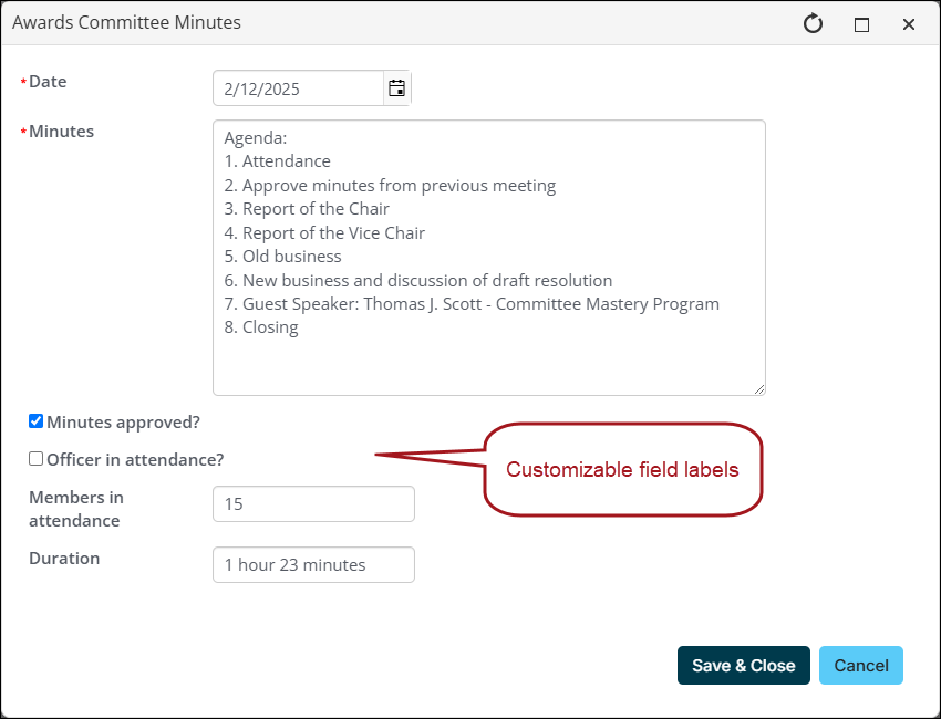 Viewing customizable field labels