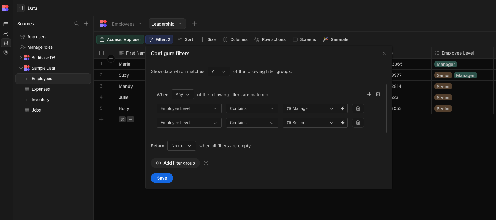 Dynamic filter in the data view area of your Budibase app.