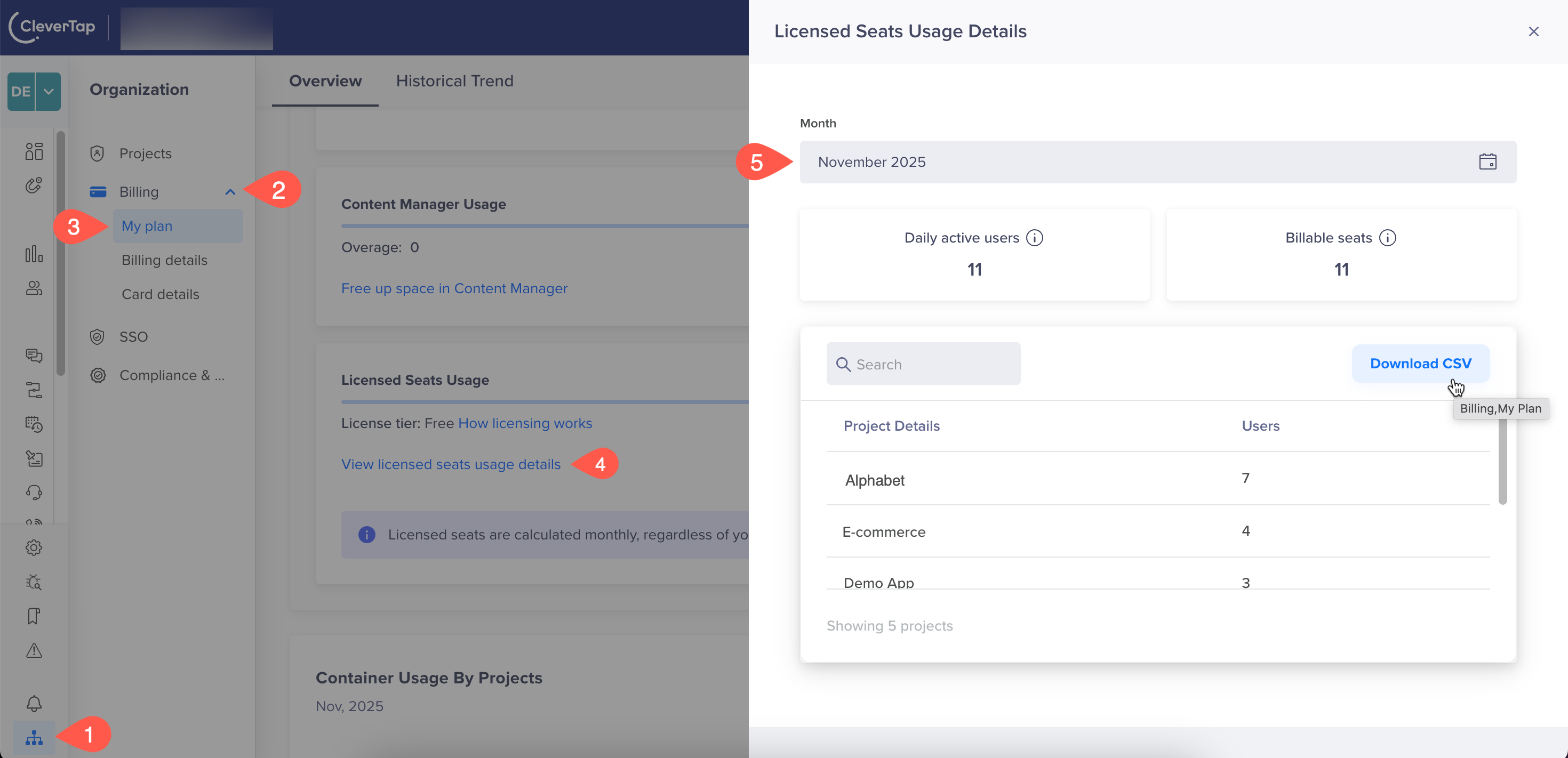 Licensed Seats Usage Details screen showing project-level usage summary