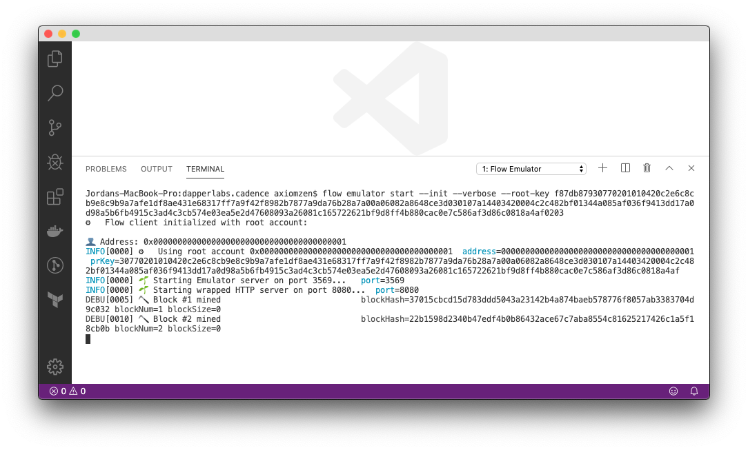 vscode-3-emulator-terminal.png