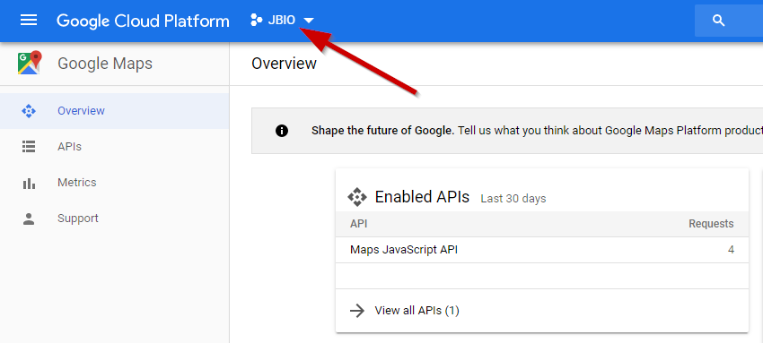 Google Maps JS API