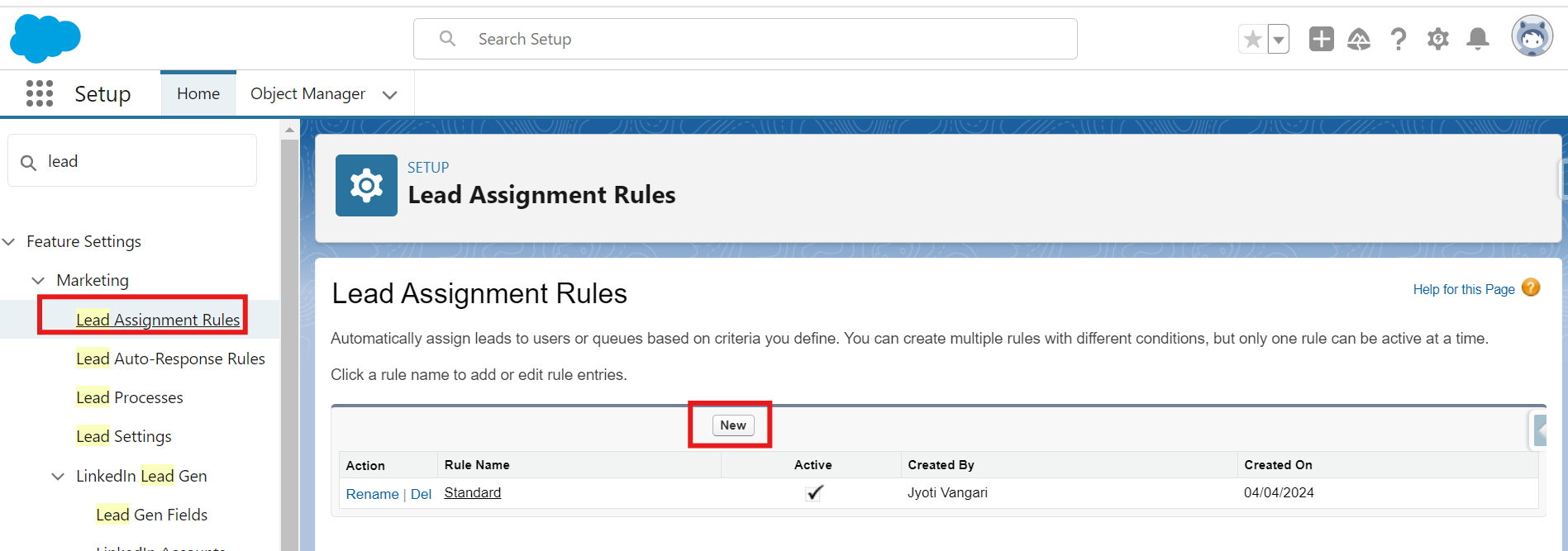 Lead Assignment Rule