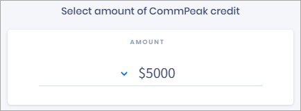 Screenshot of selecting credit amount