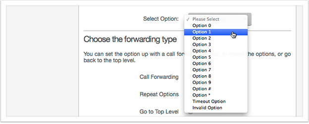 Select 'Virtual Receptionist' from the drop down
