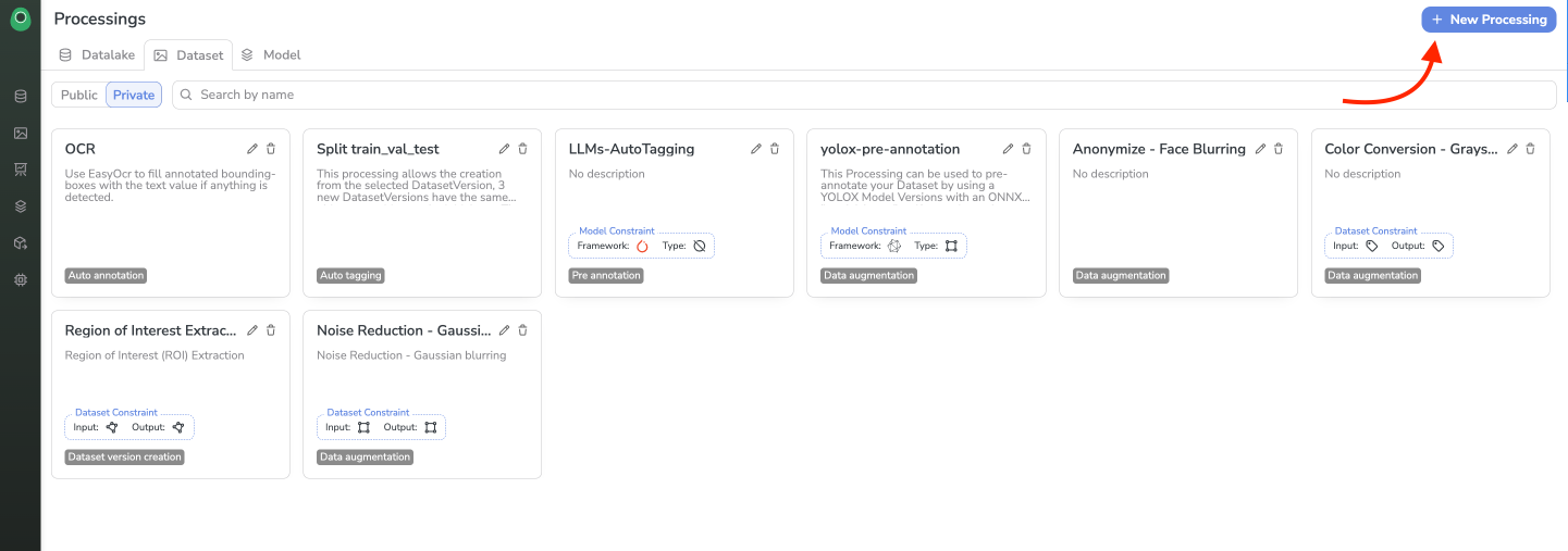 Private DatasetVersion Processing creation