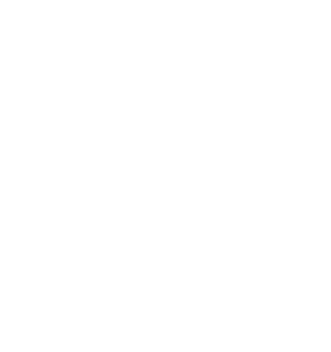 VTS