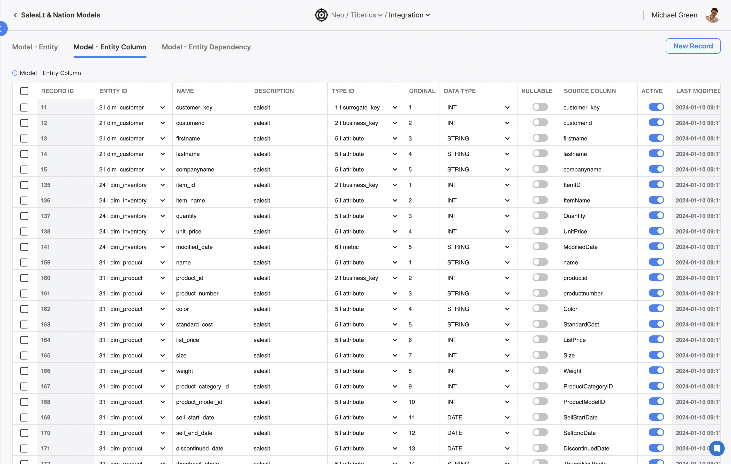 The Entity column table, where you can view all entity columns across all entities within this flow's modal.